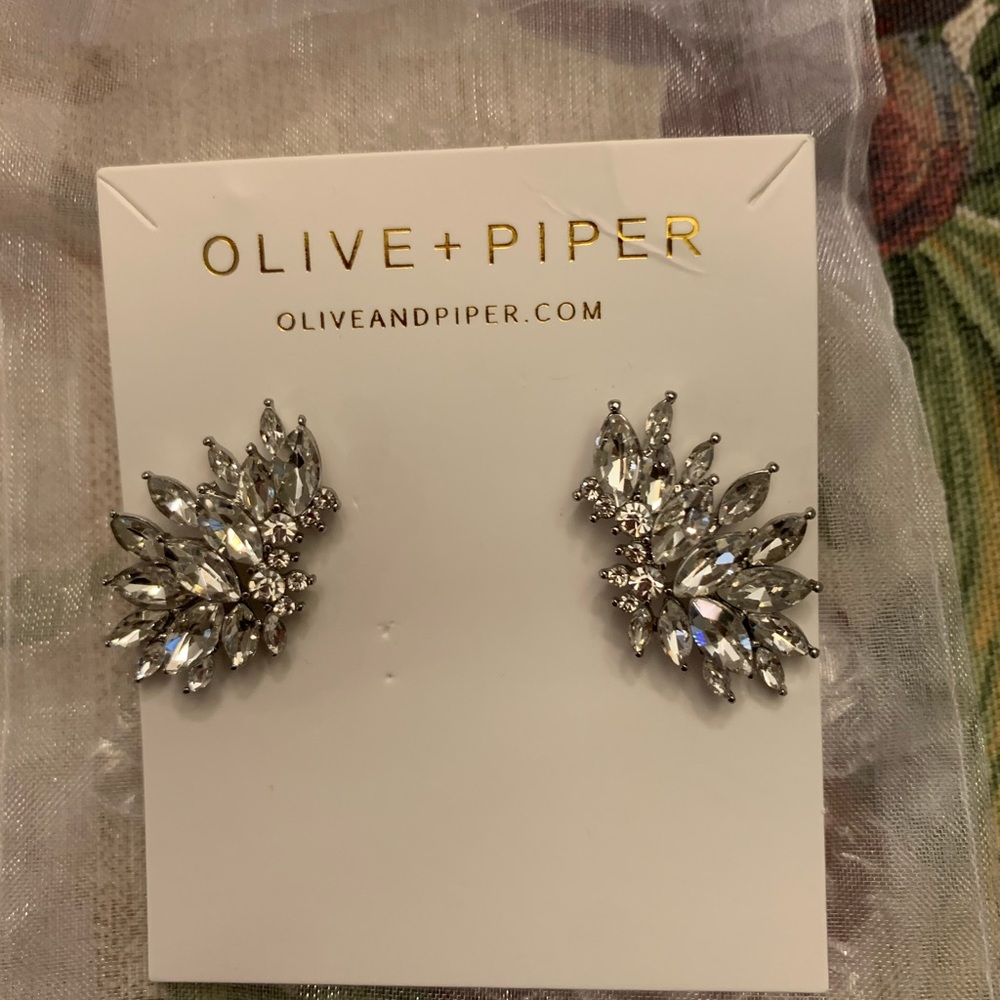 Brand new earrings